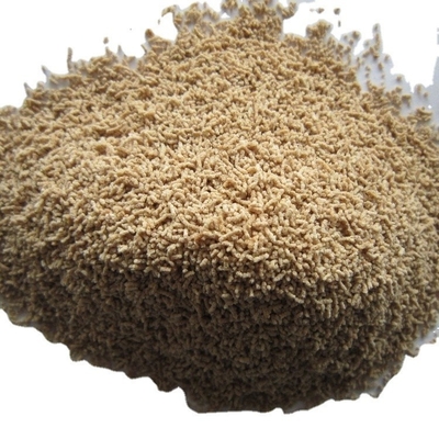 1 kg Warm gedroogde soep 500g*2/1Kg Hondashi Kruiden in de Filipijnen