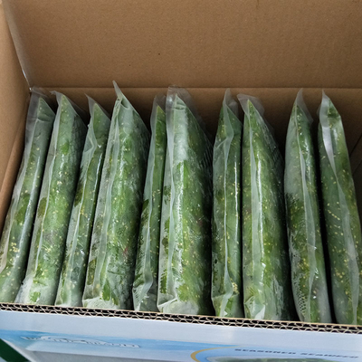 Shandong bevroren zeewier plakjes voor zoete en zure salade kruiden 1 jaar houdbaarheid