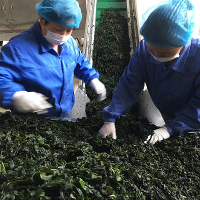 3 cm lengte gedroogde gedroogde groenten Wakame Laver voor fastfood 20 kg bulk verpakking