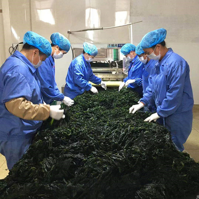 Normale ingrediënten Algen Donkergroen Gedroogde zeewier Geur Geurig Gedroogd gesneden zeewier Wakame