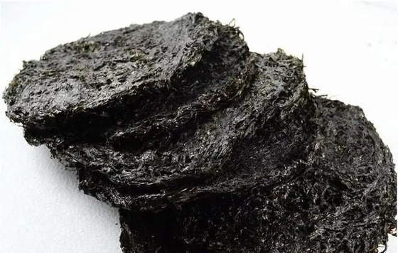 Het best bewaarde geheim van de Laver Variety Porphyra Haitanensis