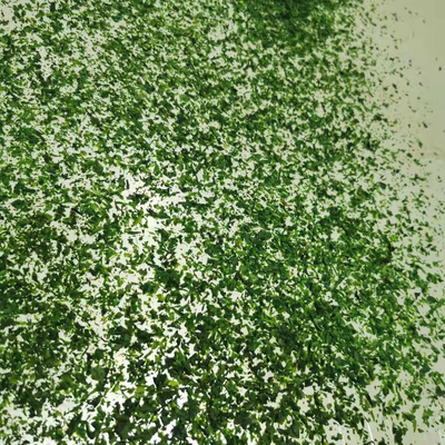 Verwerkt, gekruid, gedroogd AOSA Aonori Ulva-vlokken met normale ingrediënten