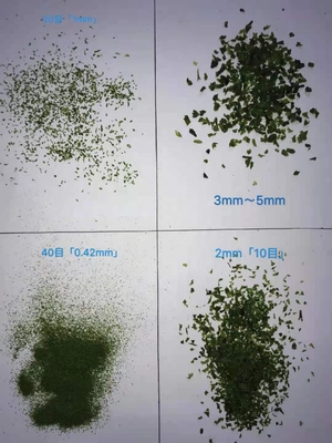 Neem de gedroogde AOSA zeewiervlokken Aonori voor uw sushi eten Een must-have ingrediënt