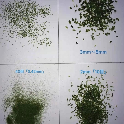 Warm gedroogde Aonori vlokken Groene bladeren voor onweerstaanbare Filipijnse zeewier snacks