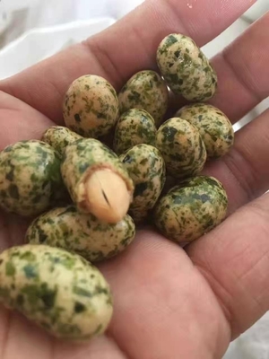 Warm gedroogde Aonori vlokken Groene bladeren voor onweerstaanbare Filipijnse zeewier snacks