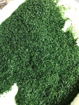 Maleisië Zeegras Ulva Vlokken Gedroogd Aonori Zeegras Vlokken Variëteit Laver