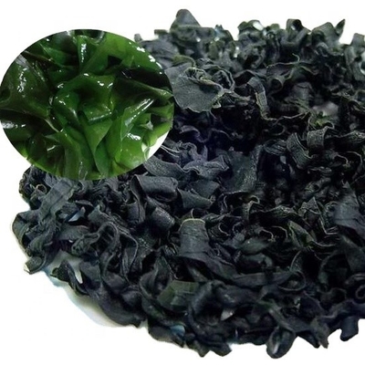 Normale ingrediënten Laver Variëteit Gedroogde zeewier gesneden Wakame voor de Chinese zeevruchtenmarkt