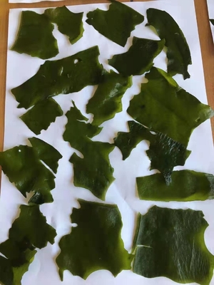 Normale ingrediënten Laver Variëteit Gedroogde zeewier gesneden Wakame voor de Chinese zeevruchtenmarkt