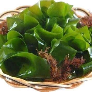 Voorraad Lekker eten Chuka zeewier Gedroogde wakame Geschikt voor een normale gastronomische ervaring