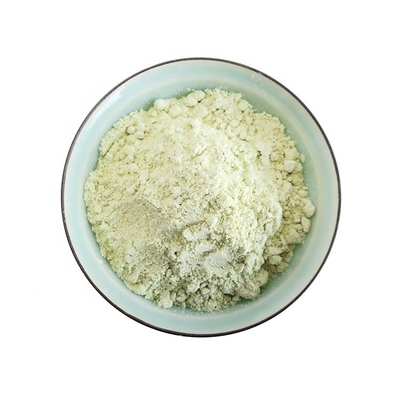 Niet-additieven Droge Sushi Horseradish Sachet 1 kg Wasabi poeder voor 24 maanden houdbaarheid