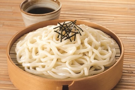 Bevroren Udon Noodles met Buckwheat Traditionele Japanse stijl