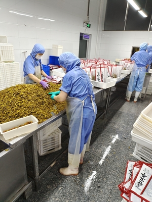 1 kg heerlijke verse inzette Shibazuke groene inzette peper authentieke Japanse smaak