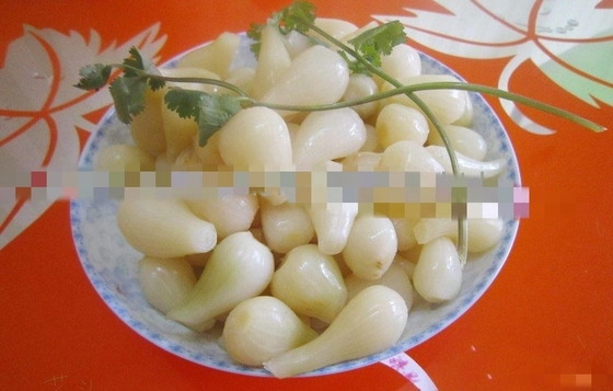 Gekookte kruiden Chinese bolle uien Rakkyo opslag NORMAL CONDITIONAL pittige smaak
