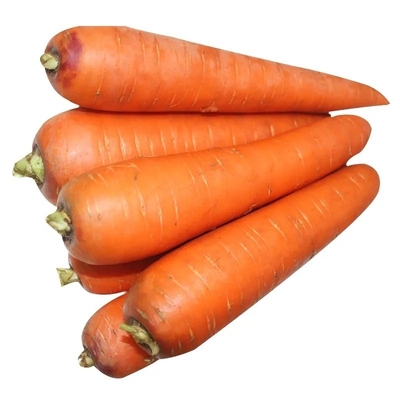 4 kg Natuurlijke wortelen Verse groenten Umbelliferous Groenten zonder