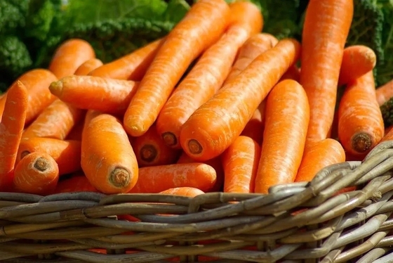 4 kg Natuurlijke wortelen Verse groenten Umbelliferous Groenten zonder