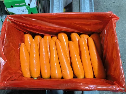 4 kg Natuurlijke wortelen Verse groenten Umbelliferous Groenten zonder