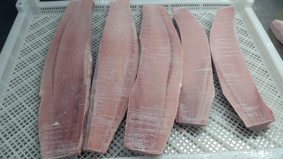 Shandong Frozen Yellowfin Tuna Loon 0,4/0,6/0,8 kg Sashimi Grade Maguro voor adres