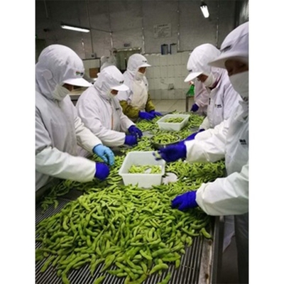 Bevroren edamamebonen in bulk Bergingstype Bevroren 10 kg gewicht