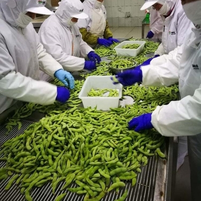 IQF-gecertificeerde bevroren edamame gestoomd van klasse A voor snelle en gemakkelijke snacks