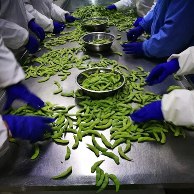 IQF-gecertificeerde bevroren edamame gestoomd van klasse A voor snelle en gemakkelijke snacks