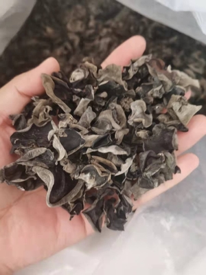 COOL DRYED opslagtype Gekweekte gedroogde zwarte schimmel voor traditionele Chinese geneeskunde