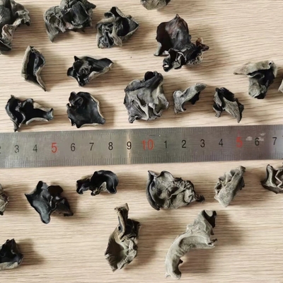 Koel gedroogde opslagsoort Biologische gedroogde zwarte schimmel Bulk 4-5cm uit India en Marokko