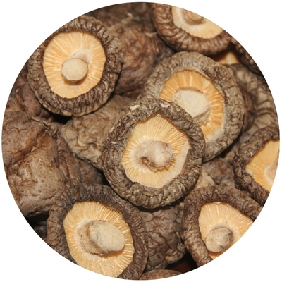 Bruine leeuwenmene paddenstoel extract gedroogde shiitake paddenstoel 1 kg/zak