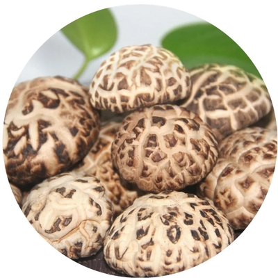 Bruine leeuwenmene paddenstoel extract gedroogde shiitake paddenstoel 1 kg/zak