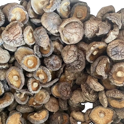 Bruine leeuwenmene paddenstoel extract gedroogde shiitake paddenstoel 1 kg/zak